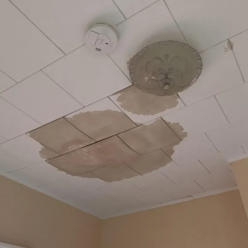 Ceiling Water Damage Repair in Kiowa County, KS