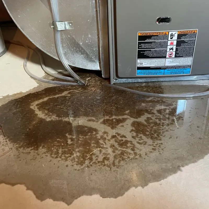 Pipe Burst and Leak Restoration in Kiowa County, KS