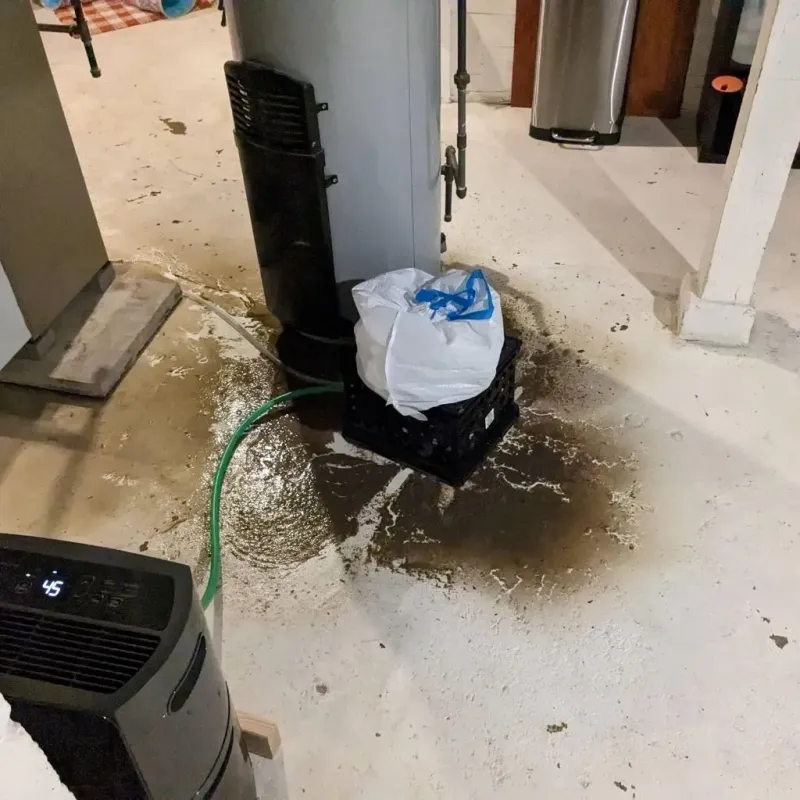 Sewage Backup Cleanup Service in Kiowa County, KS